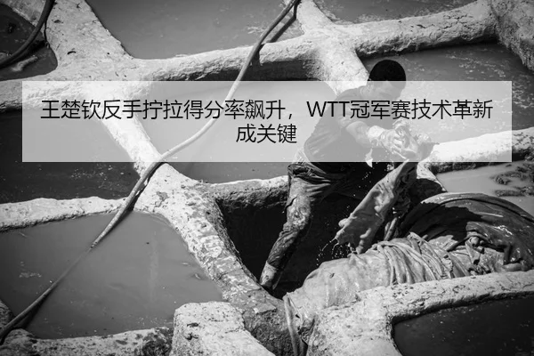 王楚钦反手拧拉得分率飙升，WTT冠军赛技术革新成关键